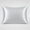 Silk Pillowcase - Silver (22-Momme)